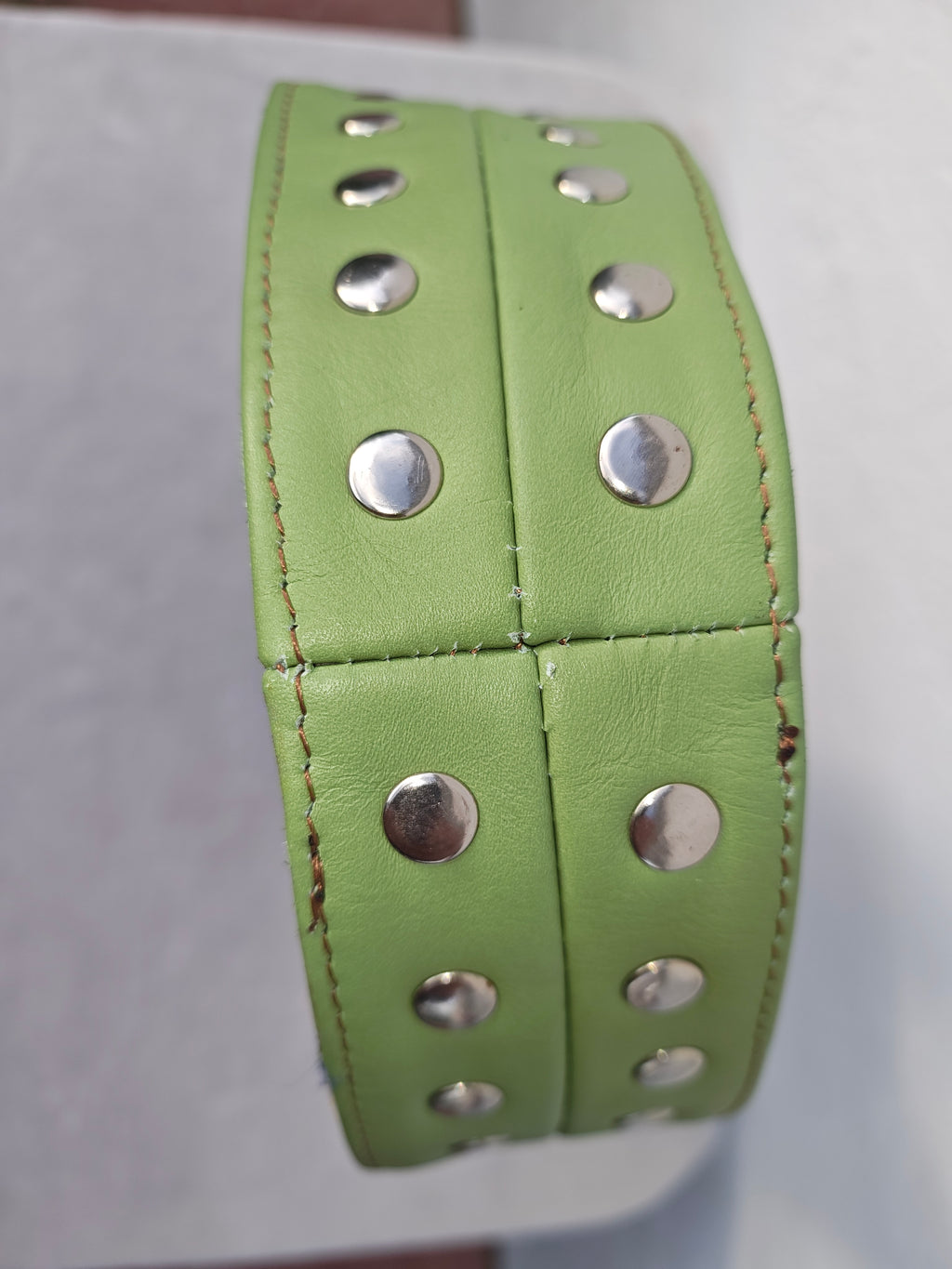 Nomad Studded Tote (Green)